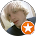 102166 2ed29c901437