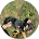 103409 e6e5289929e7
