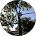 17212 0fd95d4ecfad