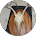 60465 743a831e5931