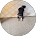 72143 d5d8e851e25c