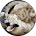 85323 32897c4a2583