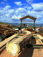 86191 24b4fd5d54e5