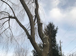 97638 d46120f22540
